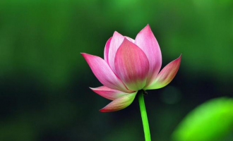 人生必修课之一：知错，认错，还要改过
