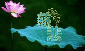 不离世间觉