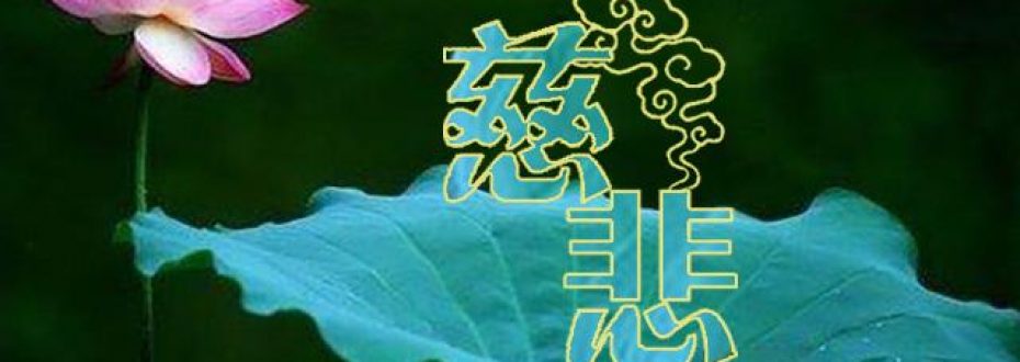 不离世间觉