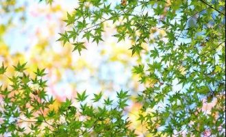 “得饶人处且饶人”的智慧，获得了一声拜年祝福