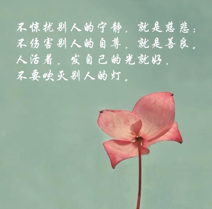 种善因得善果‖机会总在不经意间考量人的善良