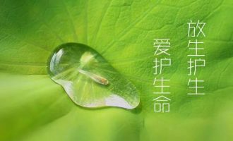 停止做食物的奴隶，你的身体需要断舍离，这样吃最健康
