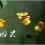 我为“爱”付出了惨痛代价，值得吗
