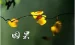 我为“爱”付出了惨痛代价，值得吗