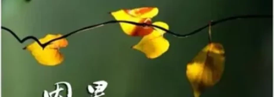 略说因果业报