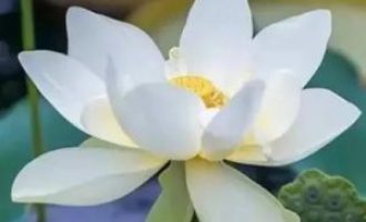 人不可貌相