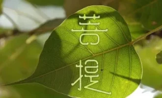 学佛修行强调“放下我执”，为何许多人又还执着行善呢？