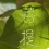 公案故事 东本大师