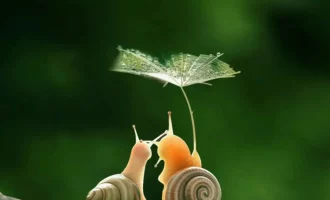 枯者从他枯，荣者从他荣。