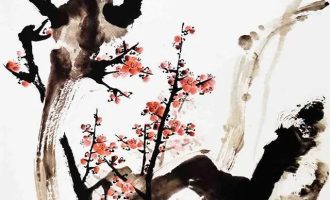 梅园游记：探古访今，唯有暗香动人