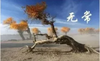 行孝不能等