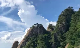 “煮熟的饭能变为生米吗？”禅师妙喻说佛与众生