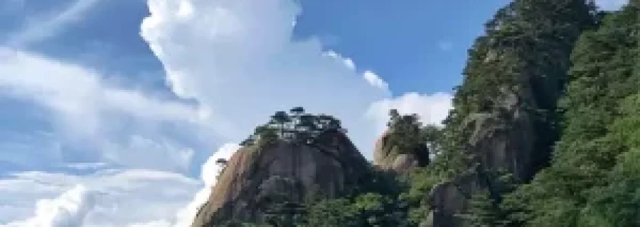 “煮熟的饭能变为生米吗？”禅师妙喻说佛与众生
